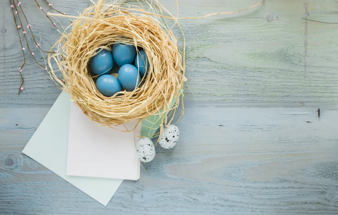 Photo wallpaper branches, paper, eggs, Easter, socket, Holiday