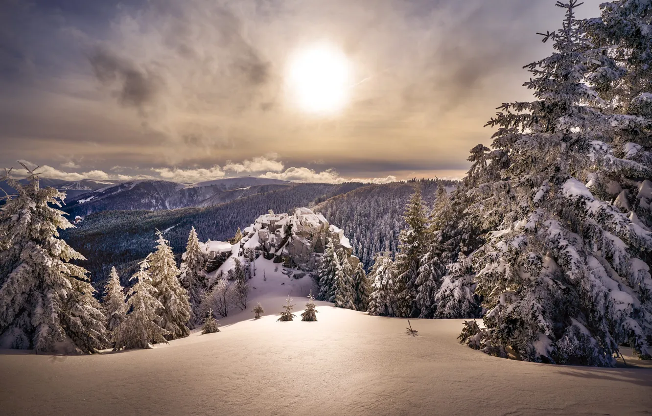 Photo wallpaper winter, forest, the sky, the sun, clouds, light, snow, mountains