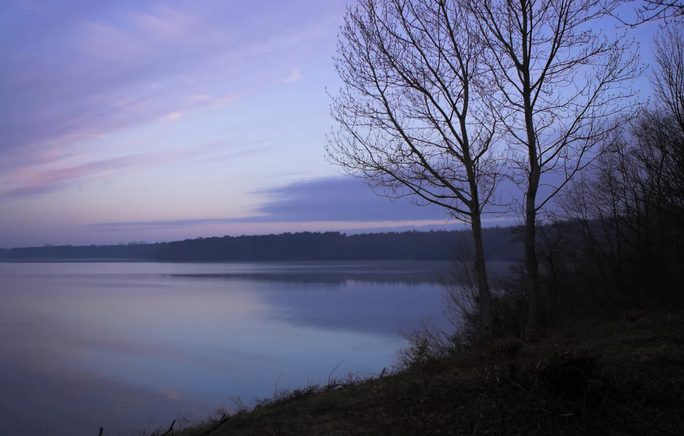 Photo wallpaper forest, trees, lake, twilight