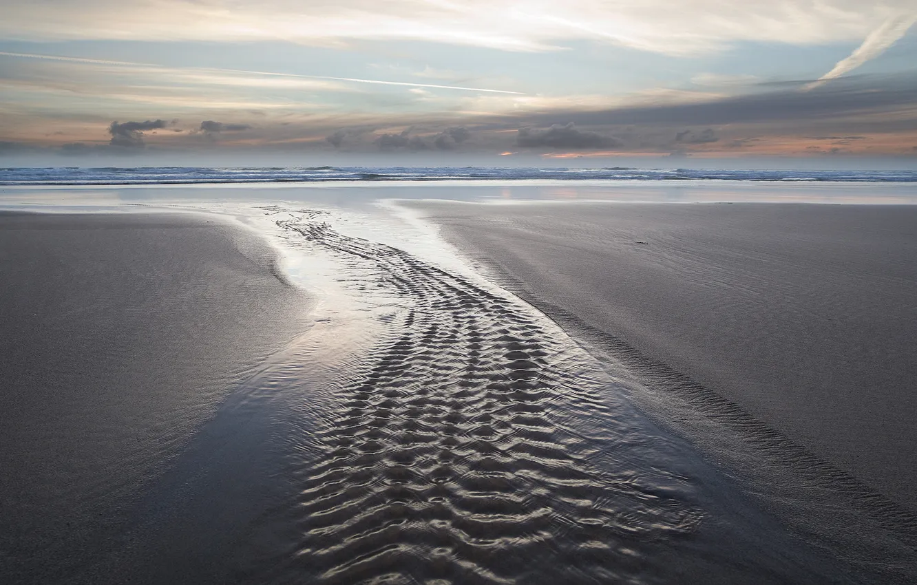 Photo wallpaper sea, beach, traces, nature