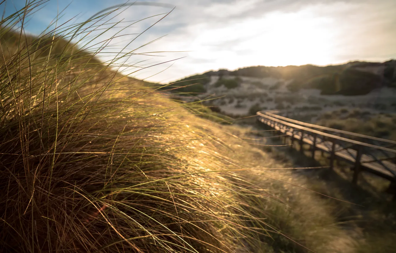 Photo wallpaper Mallorca, dunes, Cala Mesquida