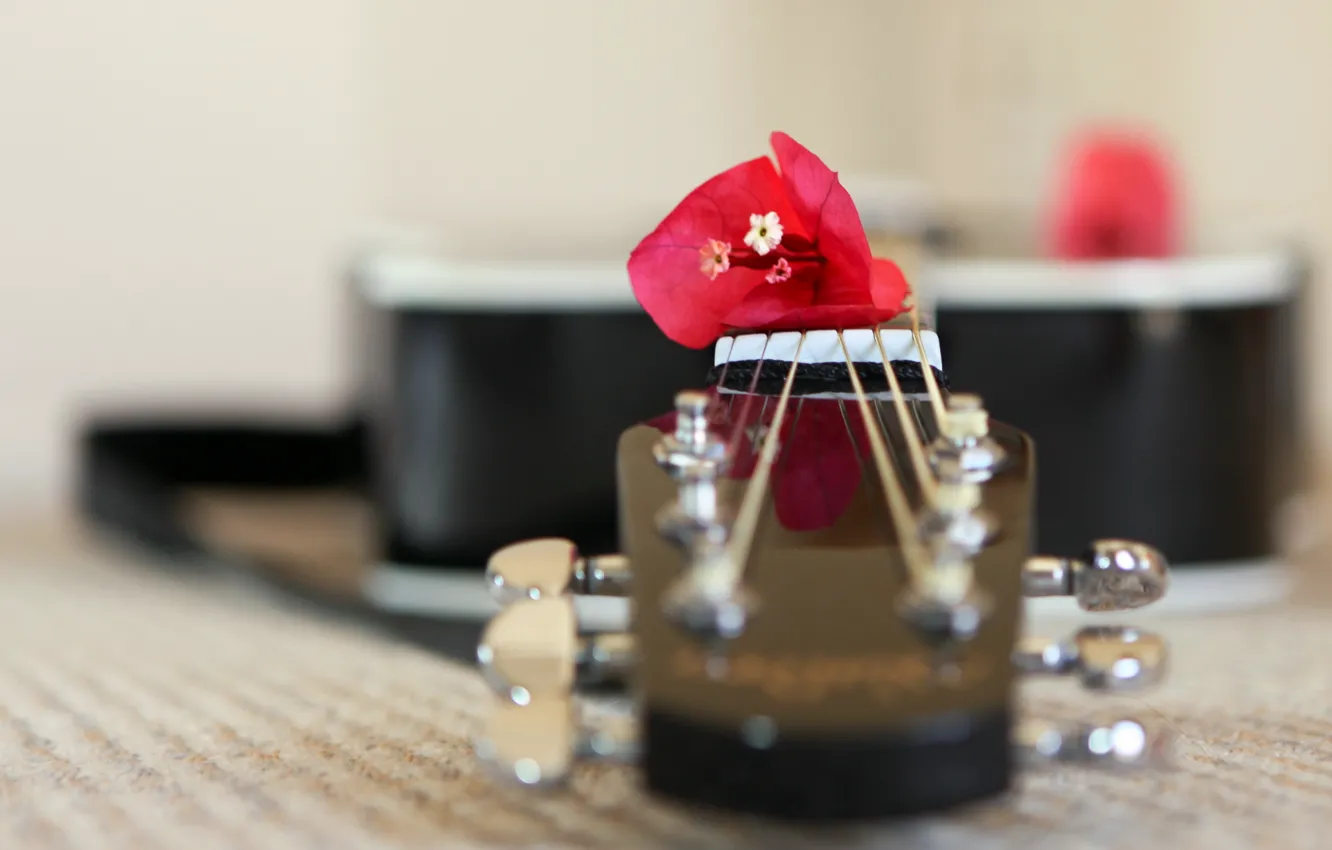Photo wallpaper flowers, music, guitar