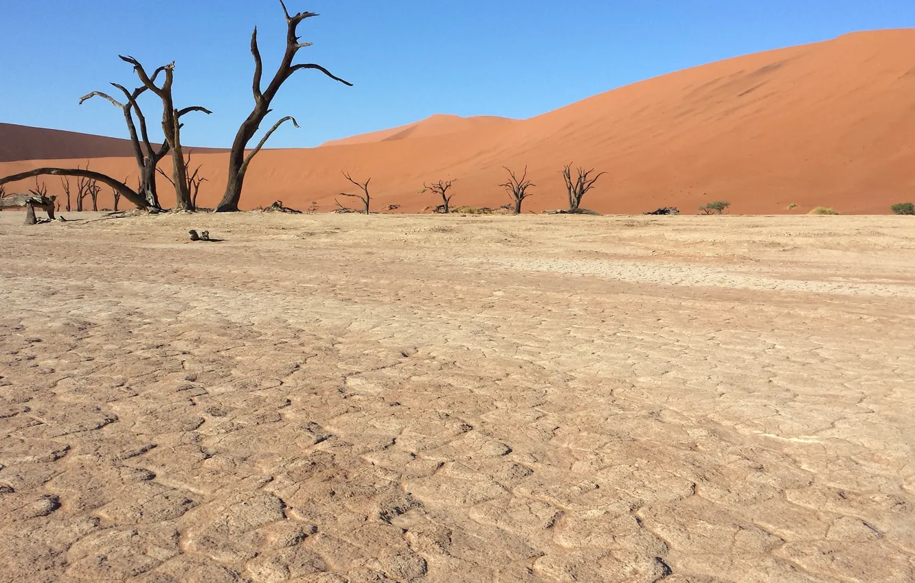 Photo wallpaper sand, desert, Africa, Namibia