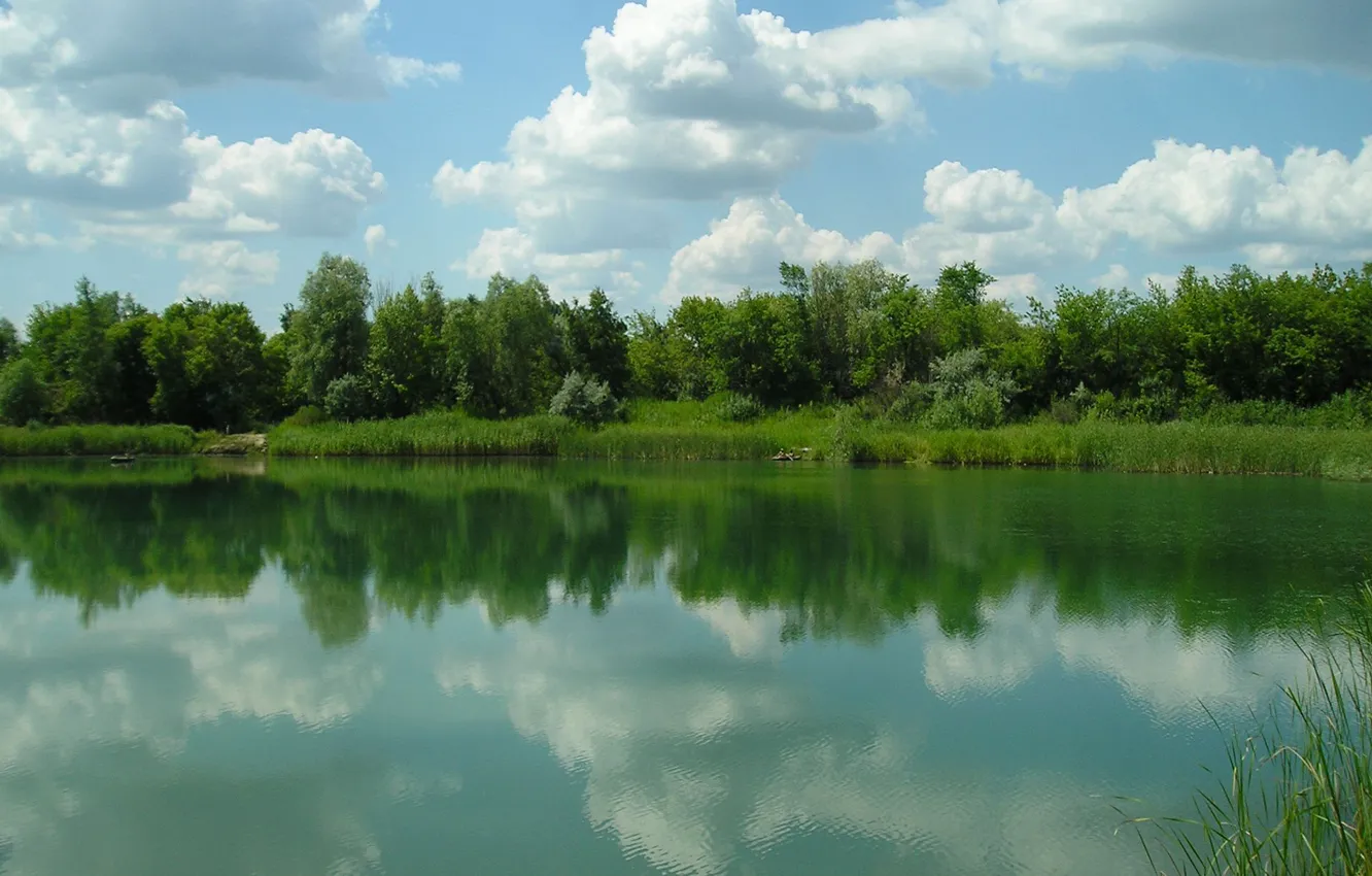 Photo wallpaper greens, forest, the sun, landscape, nature, river