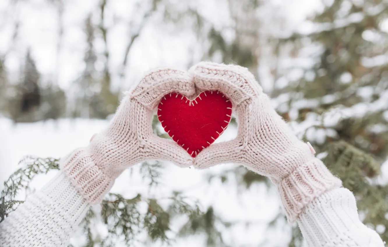 Photo wallpaper winter, snow, love, heart, tree, red, love, heart