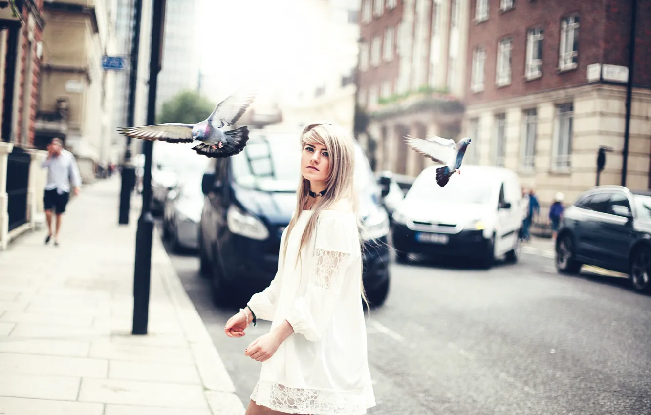 Photo wallpaper girl, the city, pigeons, Amy Spanos, Marina Joyce