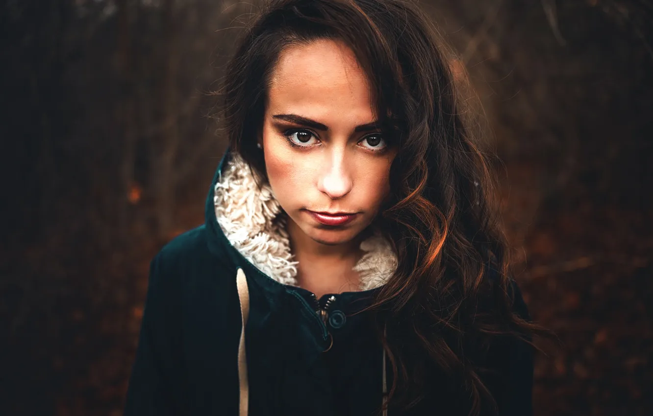 Photo wallpaper look, sponge, brown-eyed, Miro Hofmann