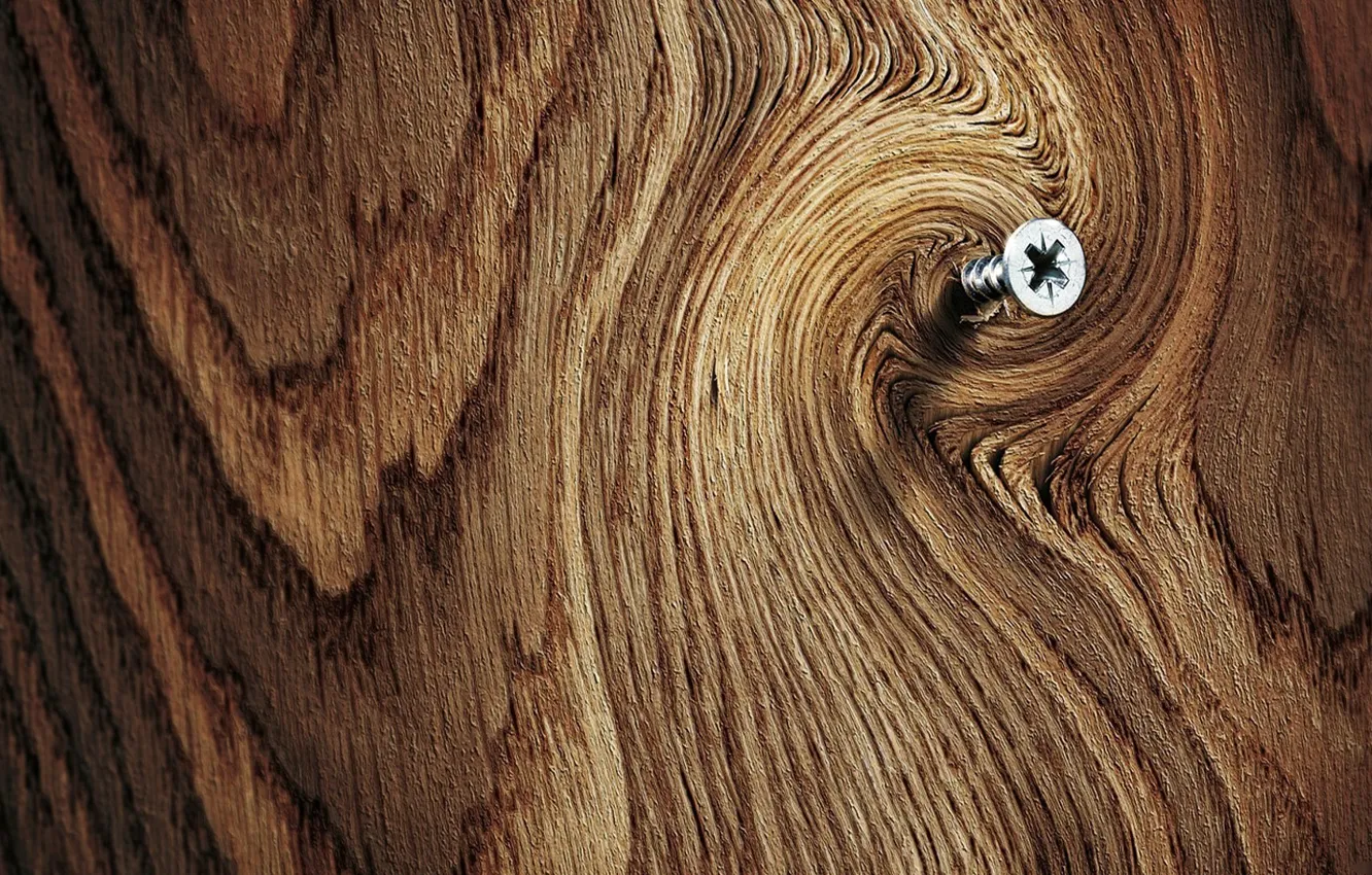 Photo wallpaper tree, spil, screw