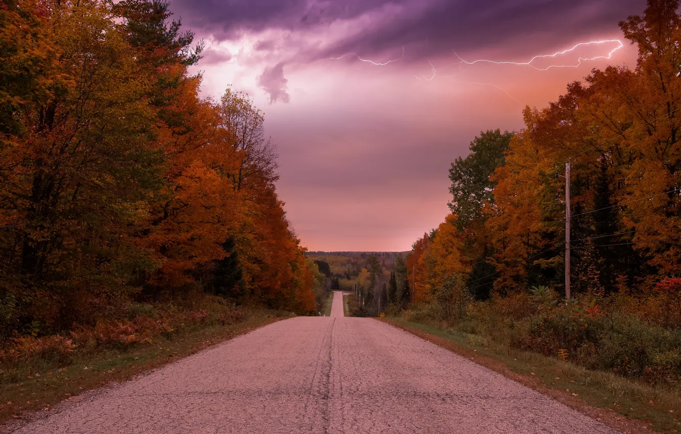 Photo wallpaper road, autumn, nature