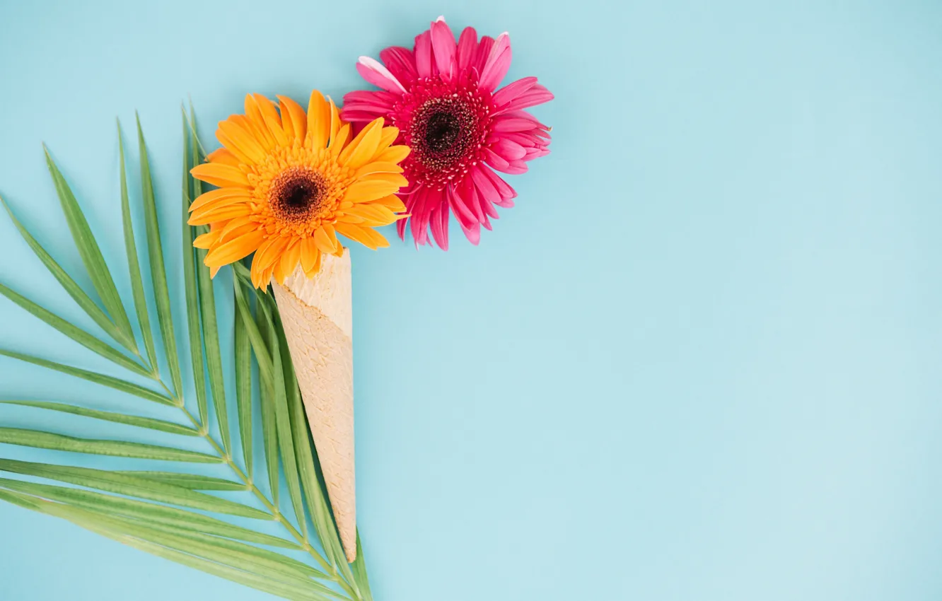 Photo wallpaper leaves, flowers, gerbera, waffle cone