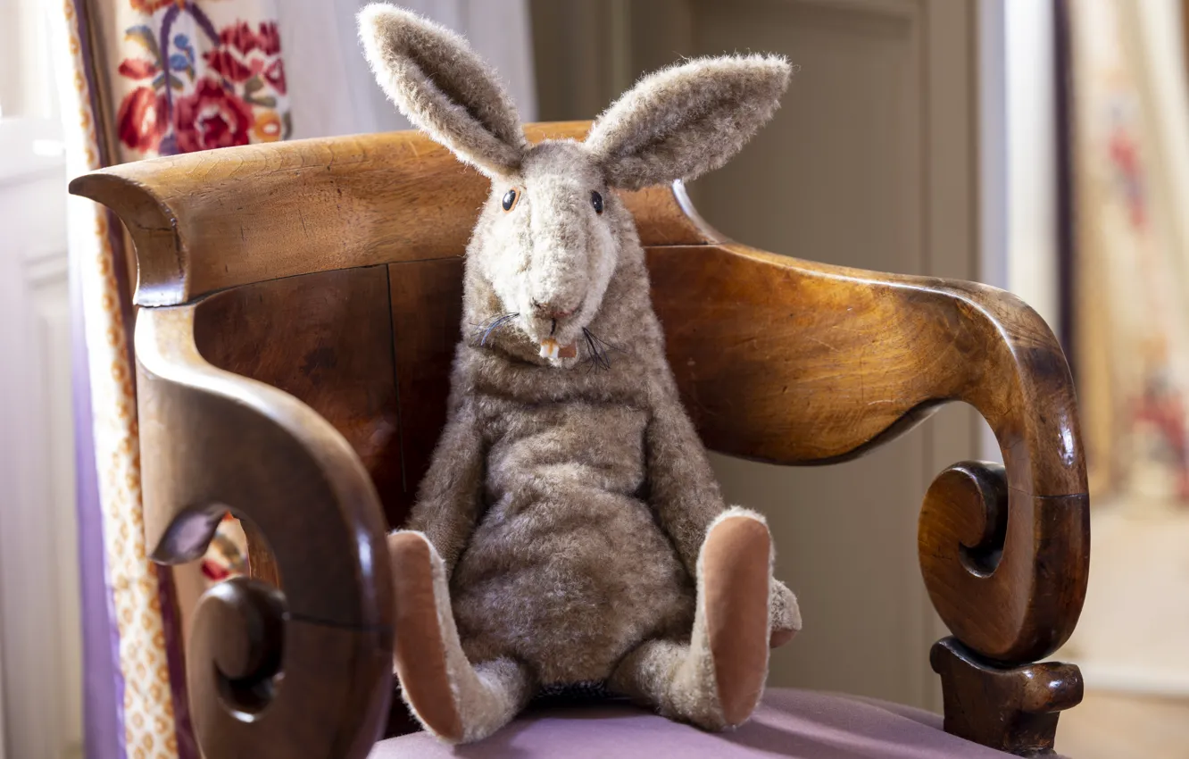 Photo wallpaper hare, chair, the hotel, funny, Plush Toy, Plush Toy, Conrad the Hare, Hare Konrad