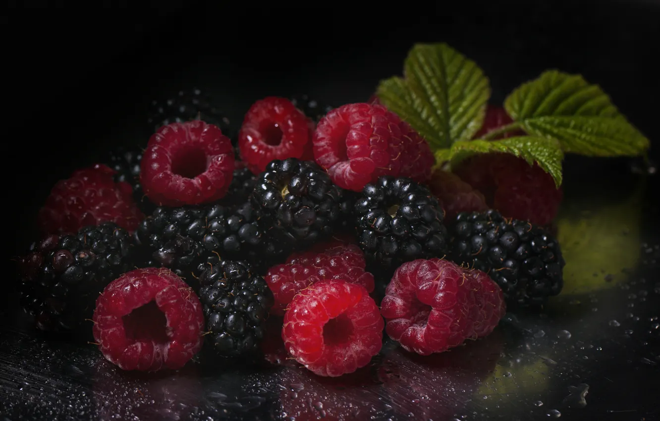 Photo wallpaper berries, raspberry, background, BlackBerry