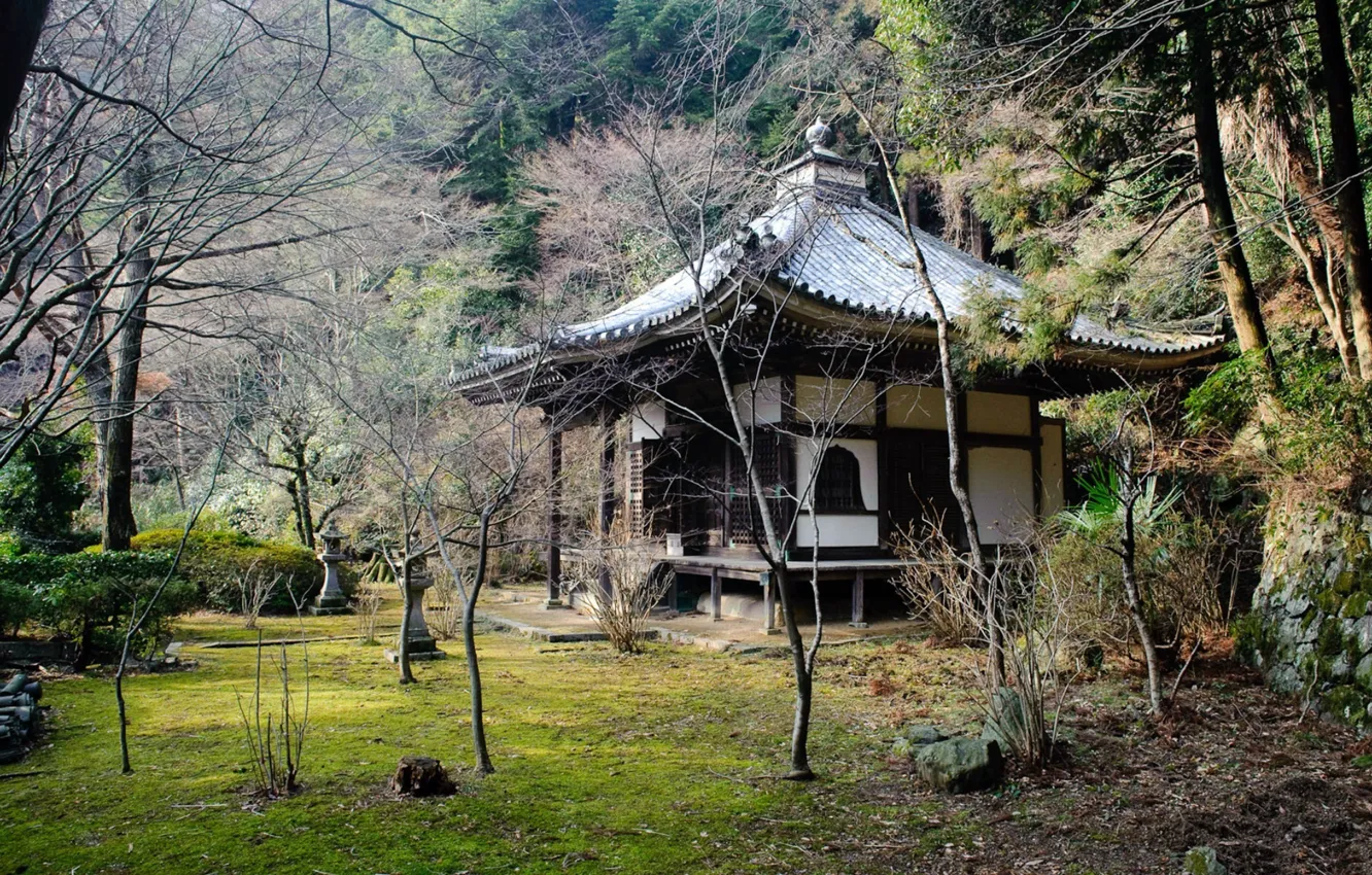 Photo wallpaper roof, trees, temple, Japan