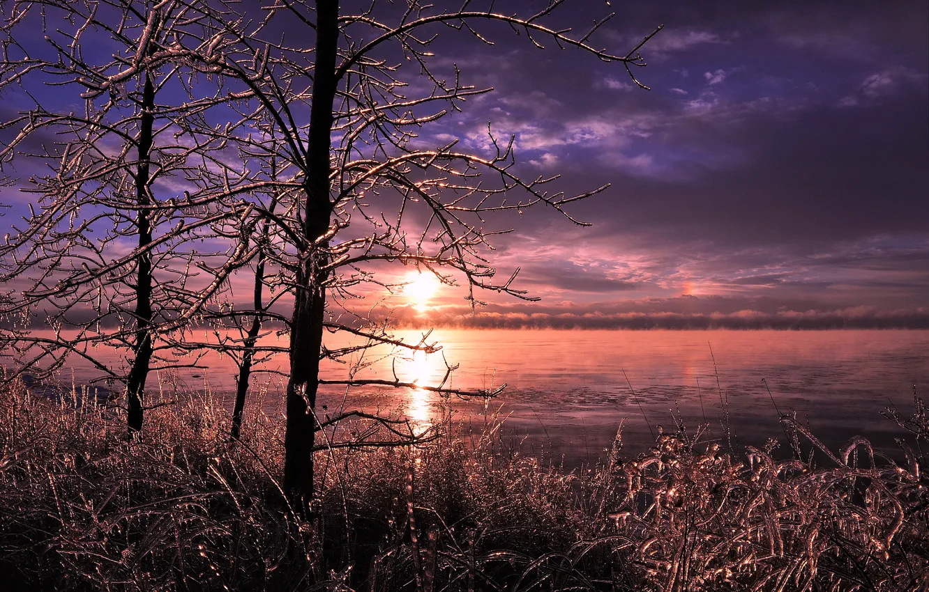 Photo wallpaper ice, winter, grass, trees, lake