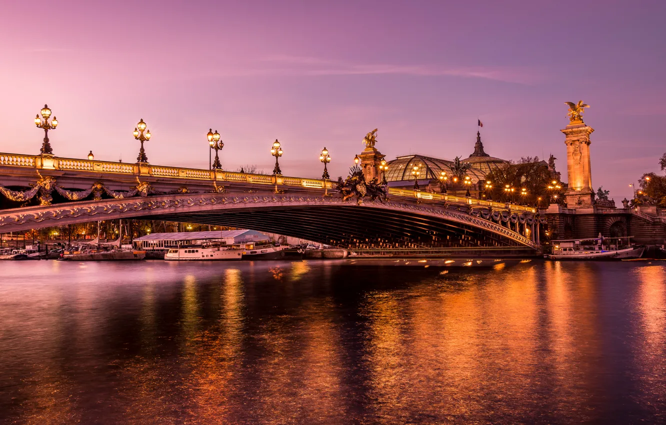 Photo wallpaper bridge, lights, river, France, Paris, pier, boat, lights