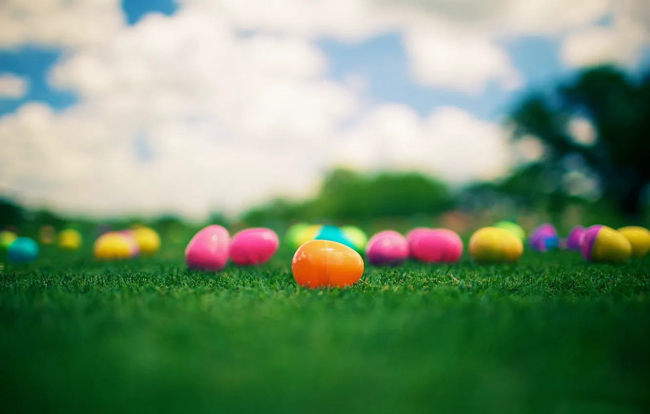Photo wallpaper grass, eggs, Easter, colorful, Easter, Kinder Surprise, Kinder Surprise
