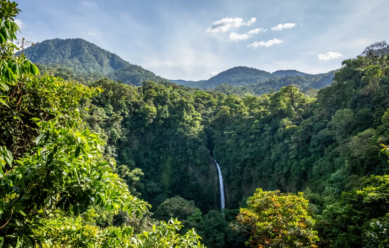 Photo wallpaper forest, landscape, nature, waterfall, jungle, Costa Rica