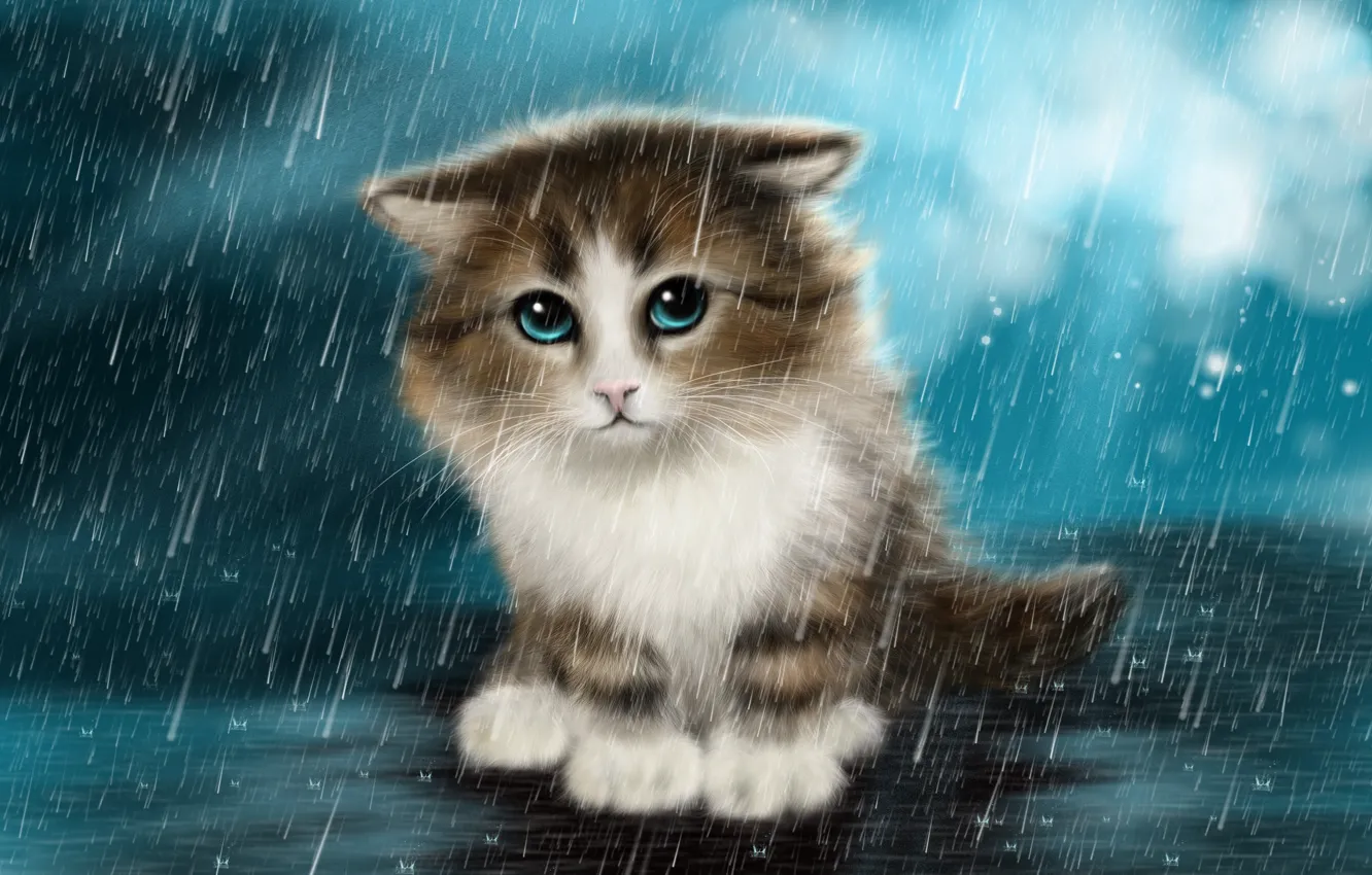 Photo wallpaper sad, rain, kitten, small, under, painted