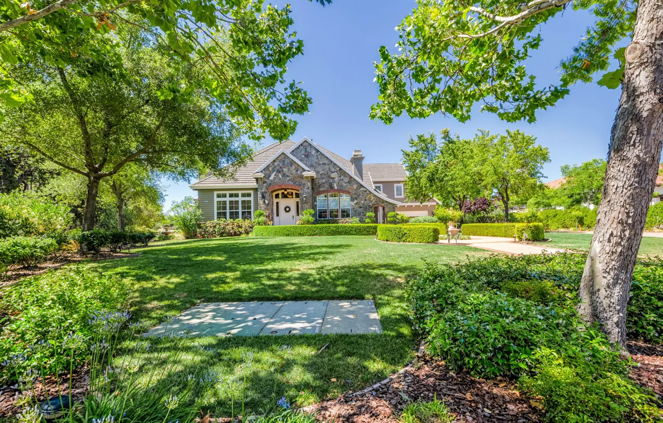 Photo wallpaper greens, summer, the sky, grass, the sun, trees, lawn, home