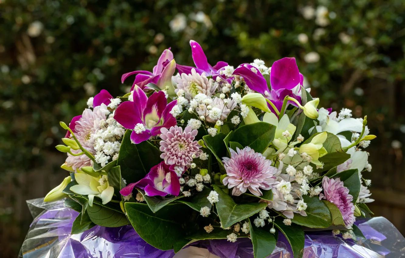 Photo wallpaper leaves, flowers, bouquet, pink, white, different, chrysanthemum, Orchid