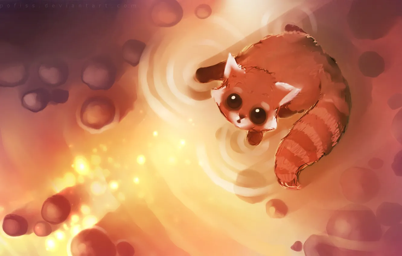 Photo wallpaper figure, looks, apofiss