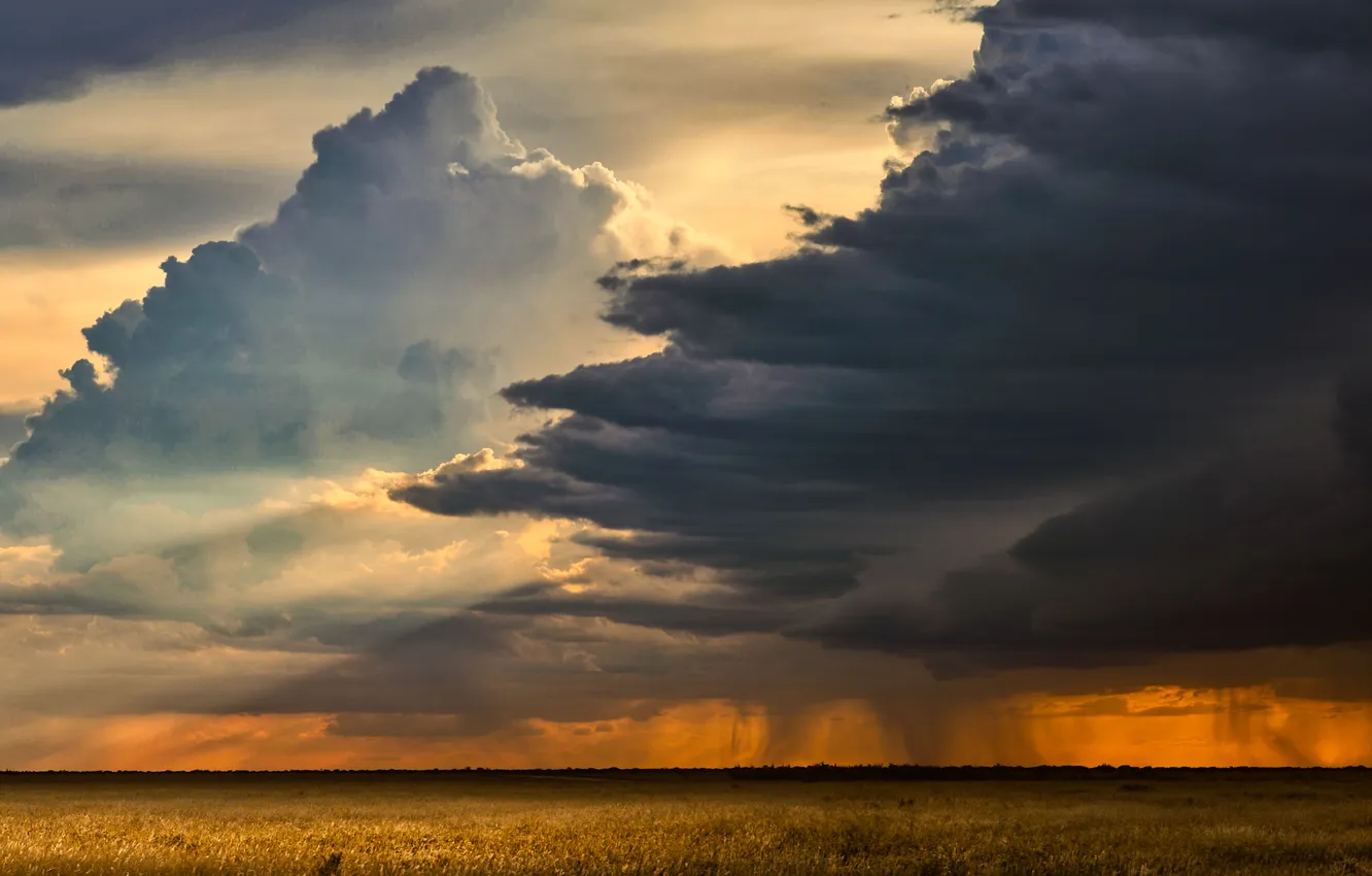 Photo wallpaper field, clouds, rain, beauty, horizon, space, Picturesque Landscape, Etosha sky