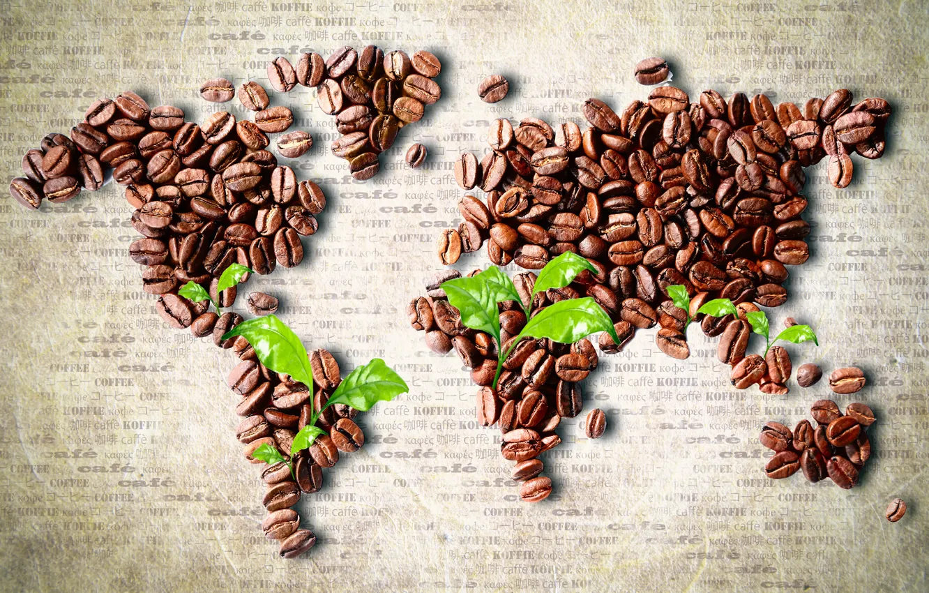 Photo wallpaper leaves, coffee, map, grain, continents