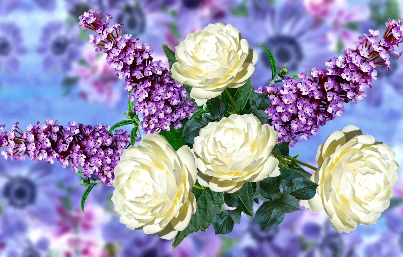 Photo wallpaper Blur, Flowers, Roses