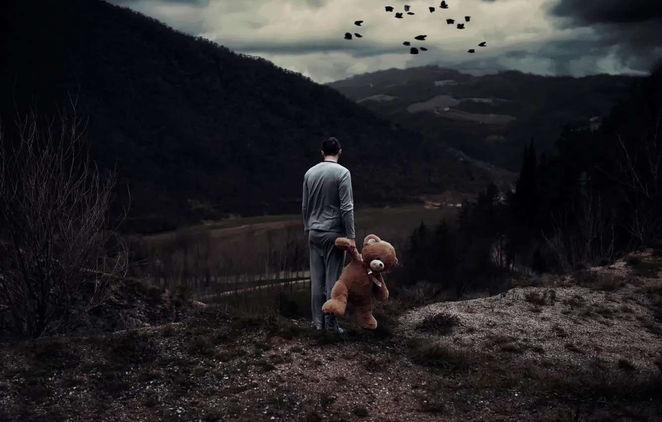 Photo wallpaper landscape, toy, people, view, bear, Nightmares