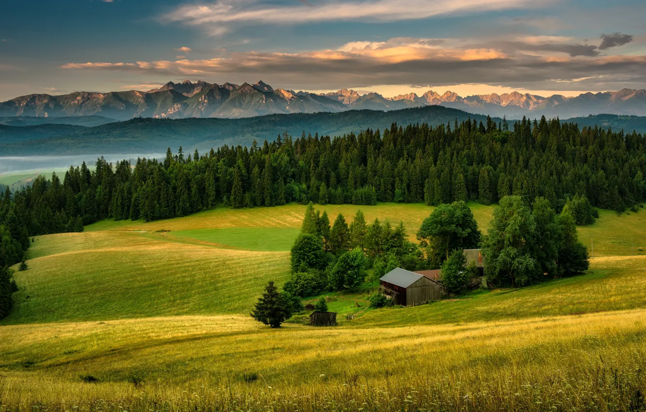 Photo wallpaper field, forest, mountains, hills, house