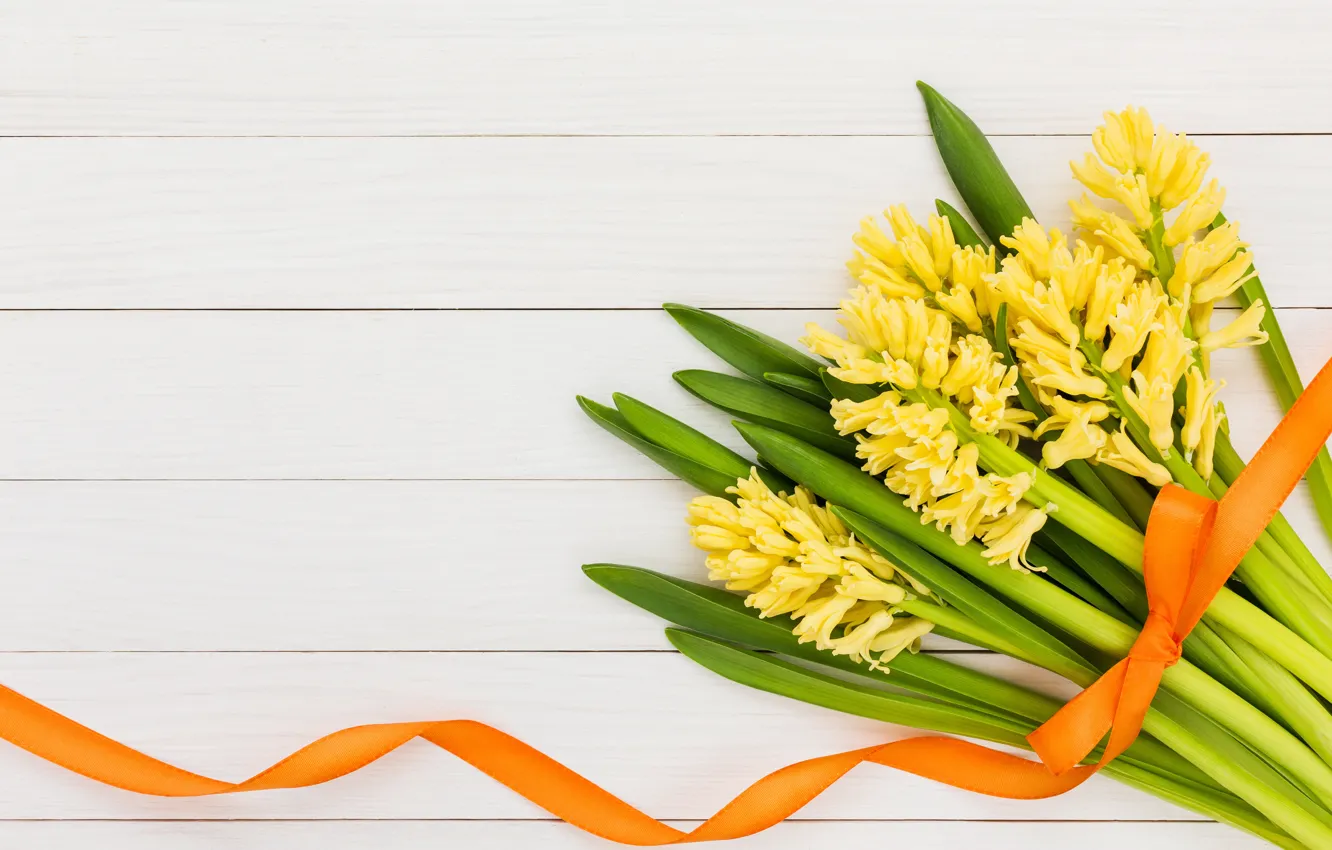 Photo wallpaper flowers, yellow, bouquet, tape, yellow, flowers, ribbon, hyacinths