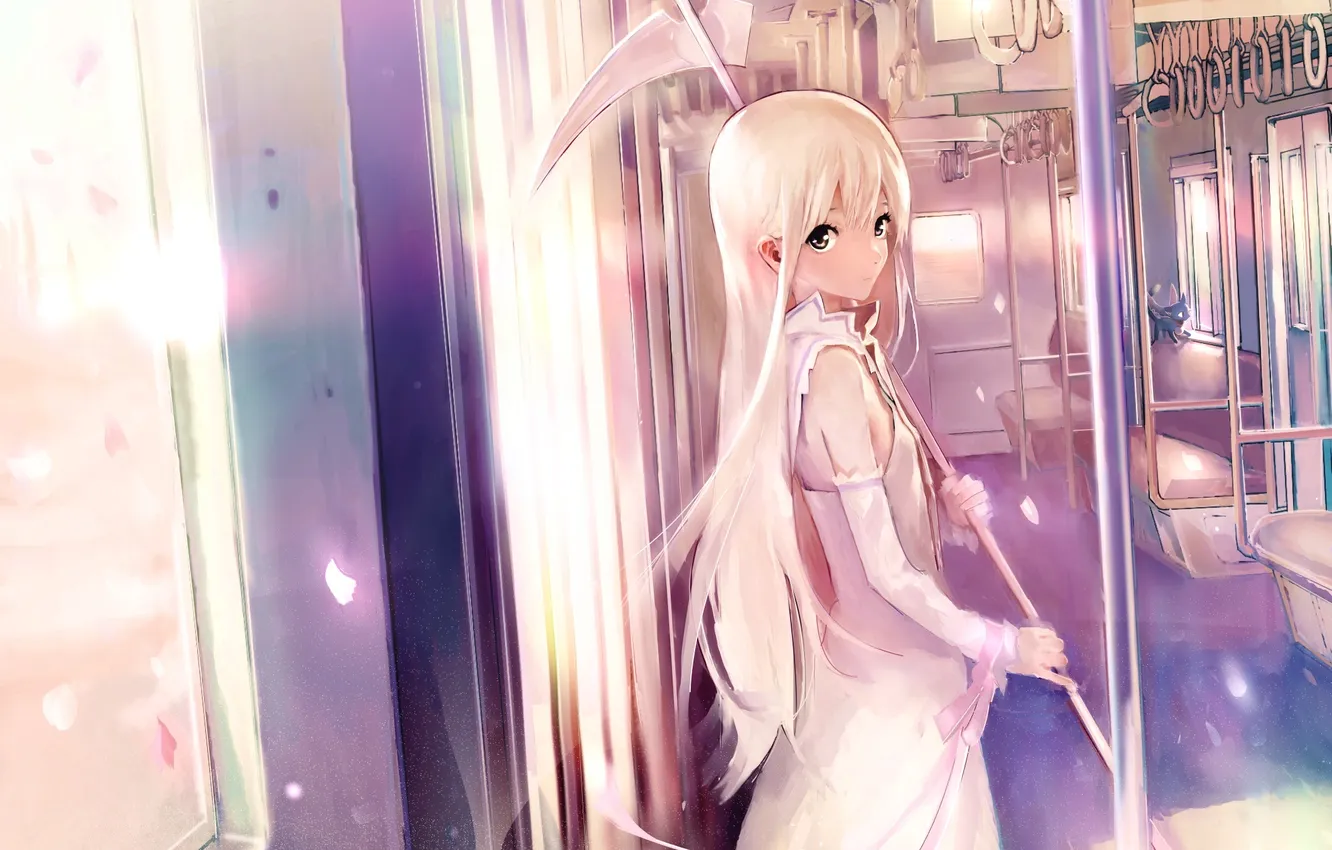 Photo wallpaper cat, girl, weapons, anime, cars, art, braid, Momo