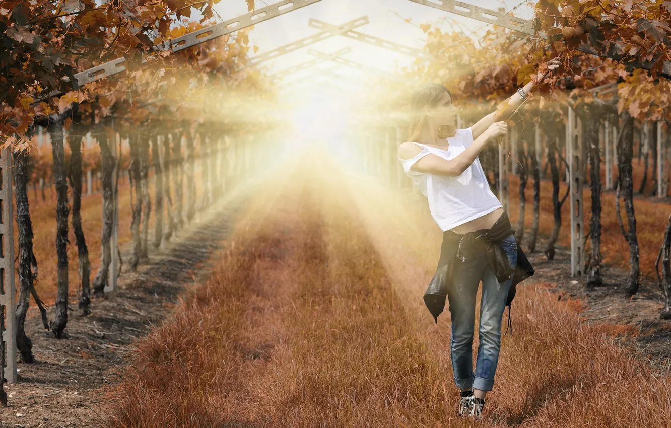 Photo wallpaper grass, girl, light, vineyard, photographer, Giovanni Zacche