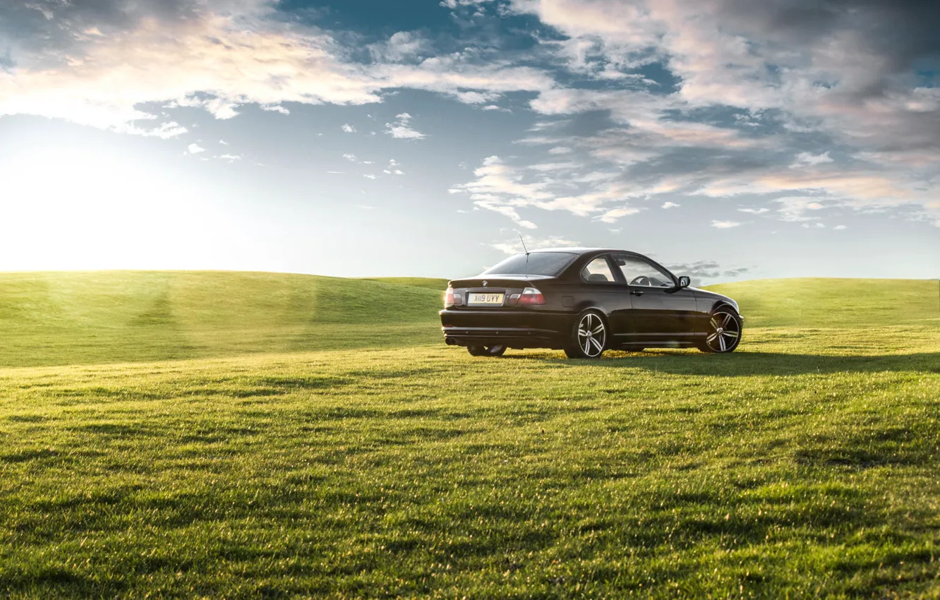 Photo wallpaper grass, BMW, black, green, rear, E46, green grass, 3 Series