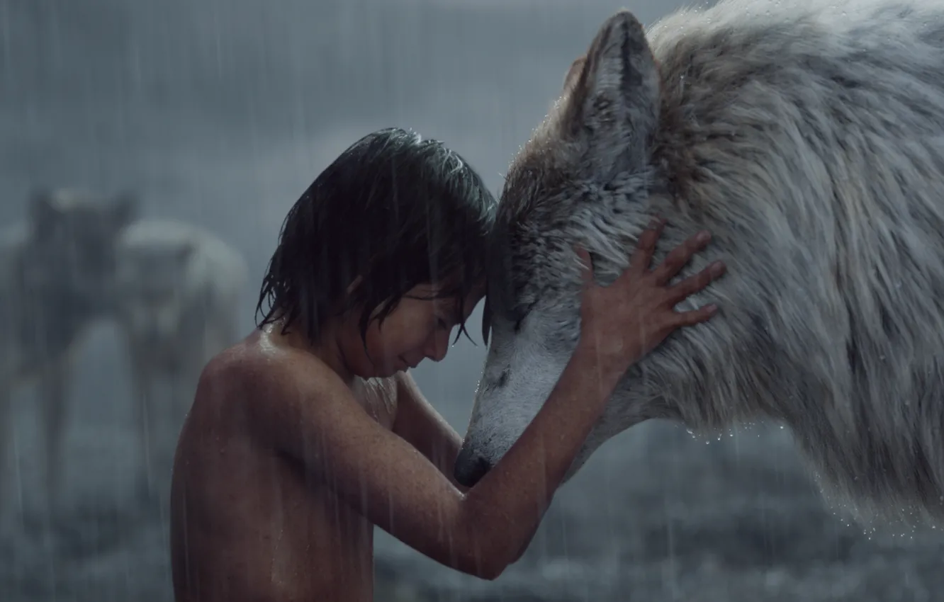 Photo wallpaper boy, Mowgli, The Jungle Book, The jungle book, Raksha