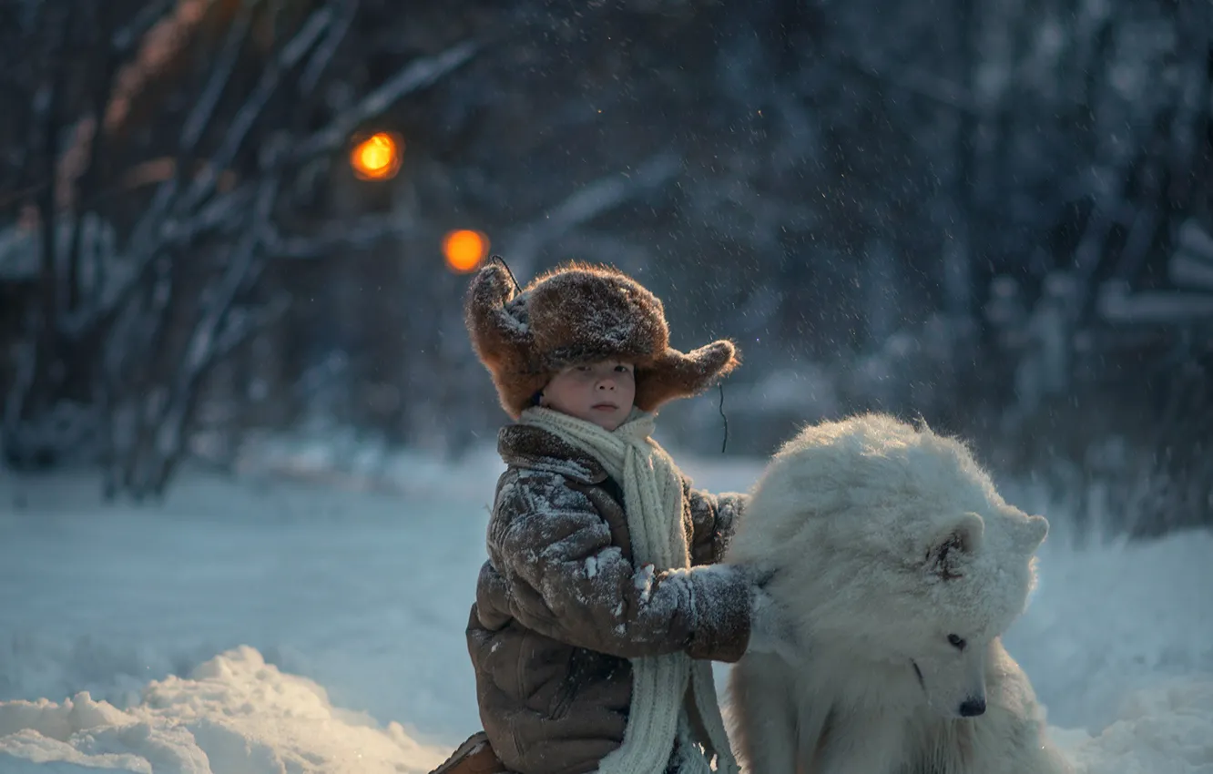 Photo wallpaper winter, snow, each, hat, dog, boy, scarf, Samoyed