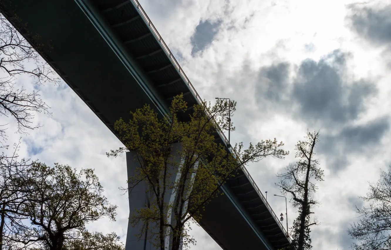 Photo wallpaper the sky, the sun, light, trees, clouds, overpass, Russia, architecture