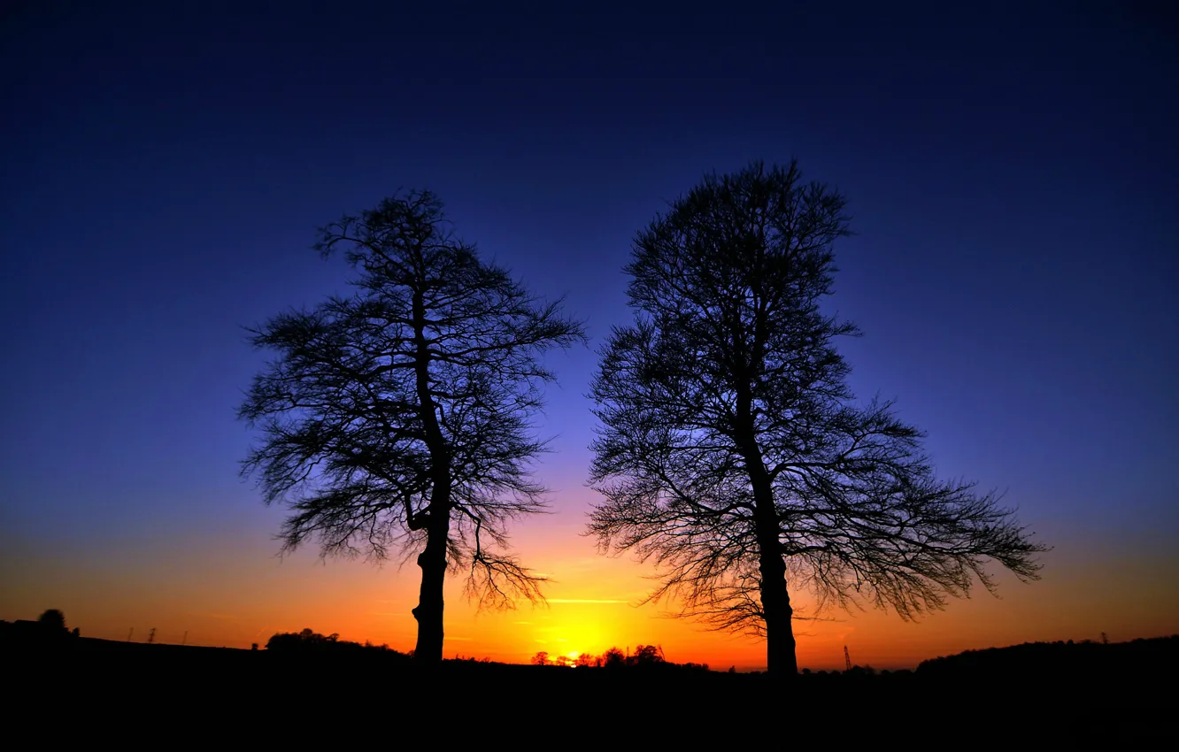 Photo wallpaper the sky, trees, sunset, silhouette, glow