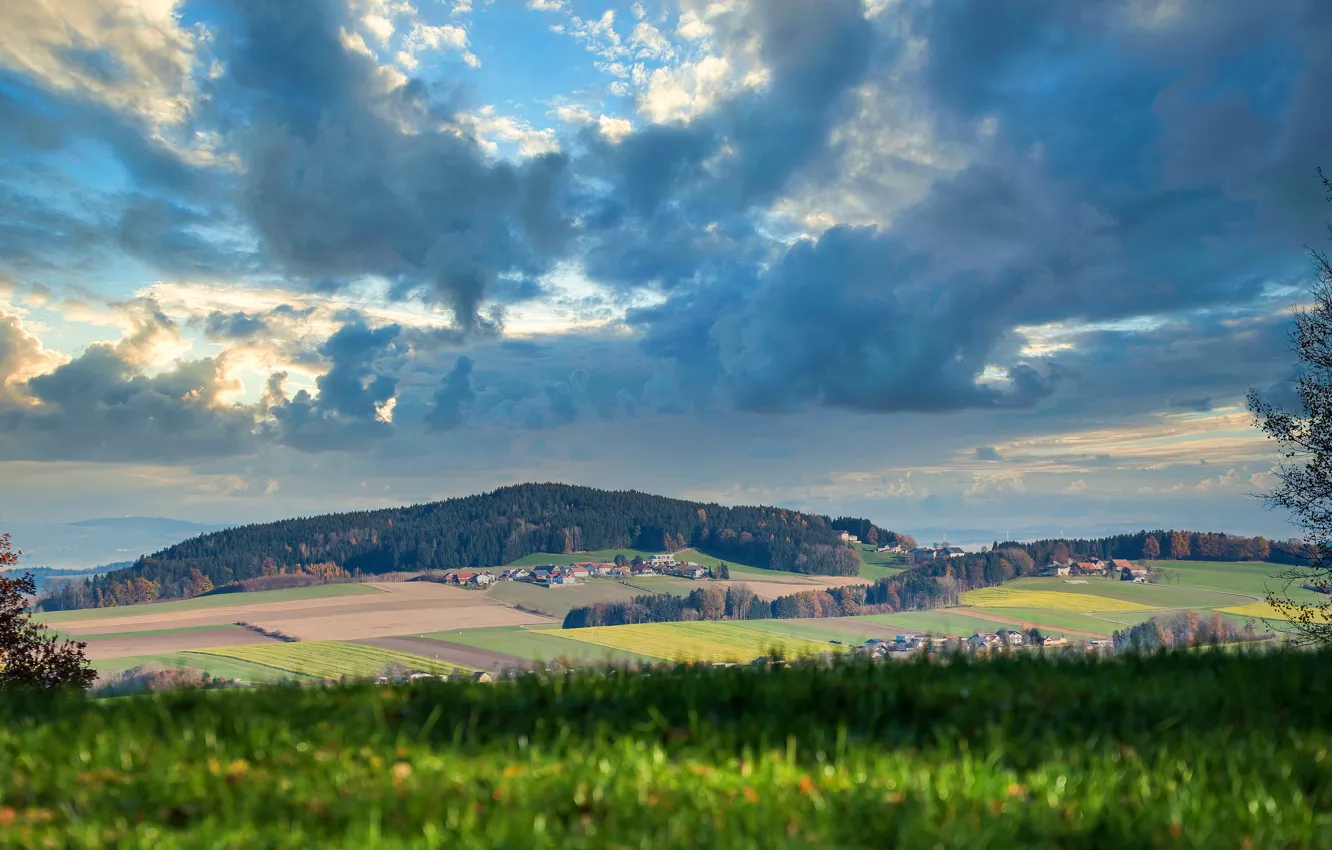 Photo wallpaper greens, field, autumn, forest, the sky, clouds, clouds, blue