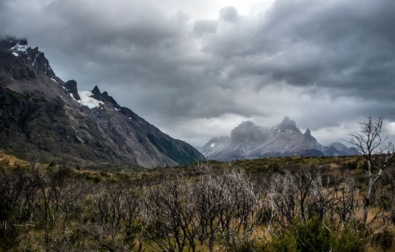 Photo wallpaper the sky, clouds, trees, mountains, clouds, nature, overcast, rocks