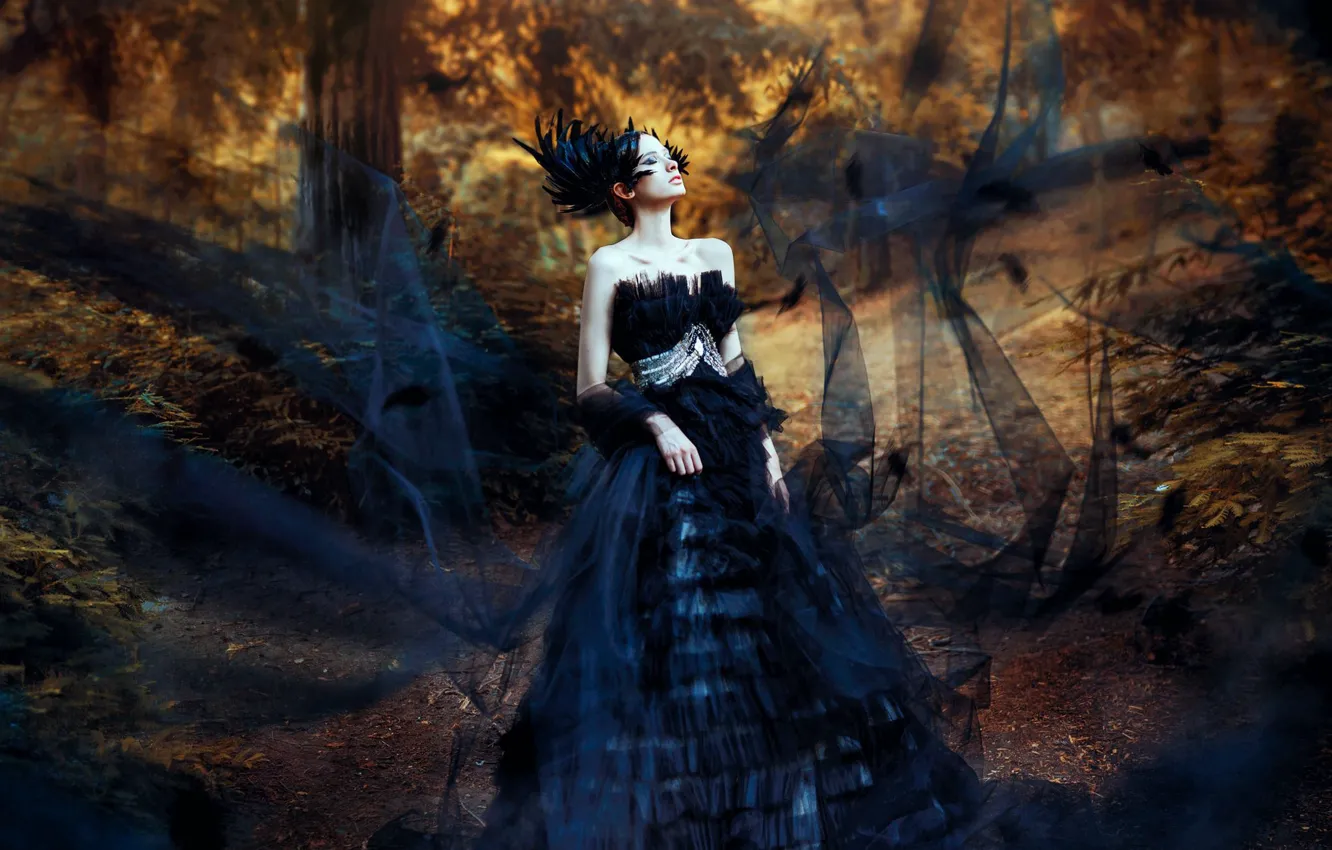 Photo wallpaper forest, style, model, dress, Ronny Garcia, Aileen Zygier, Black swan