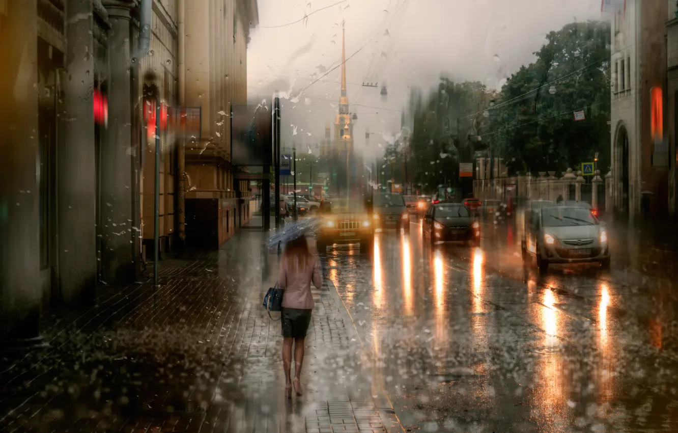 Photo wallpaper autumn, rain, Saint Petersburg