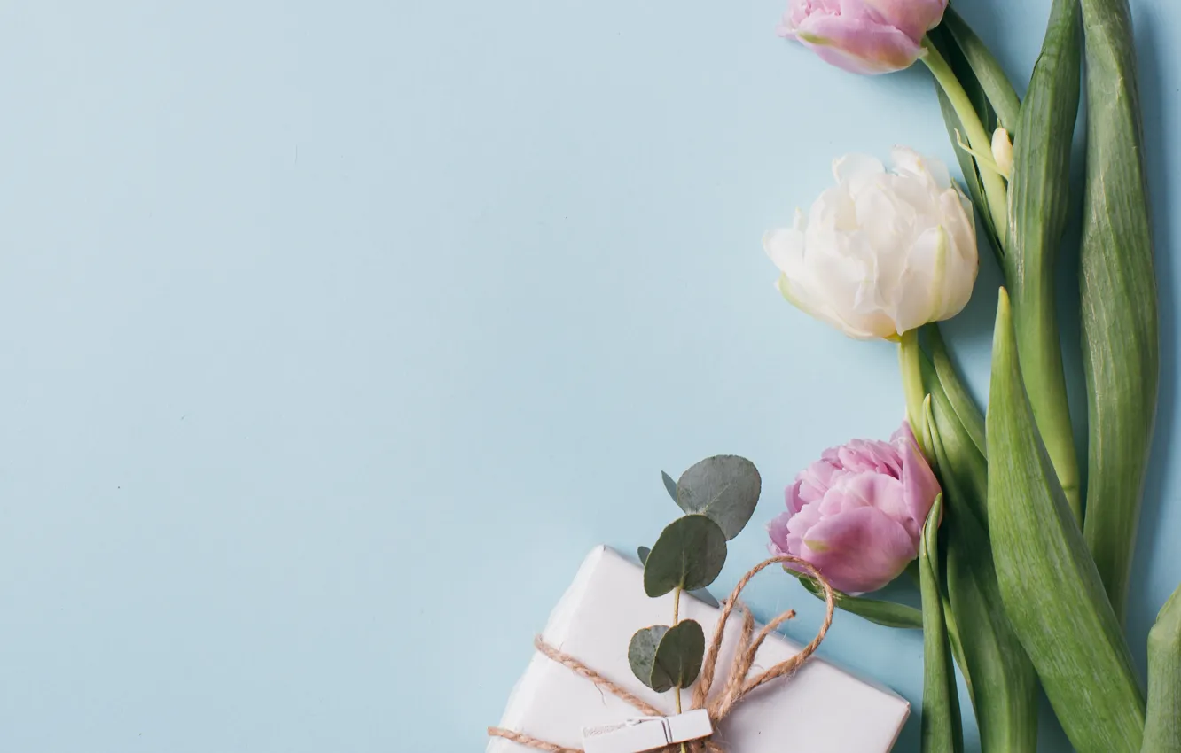 Photo wallpaper flowers, background, gift, spring, tulips