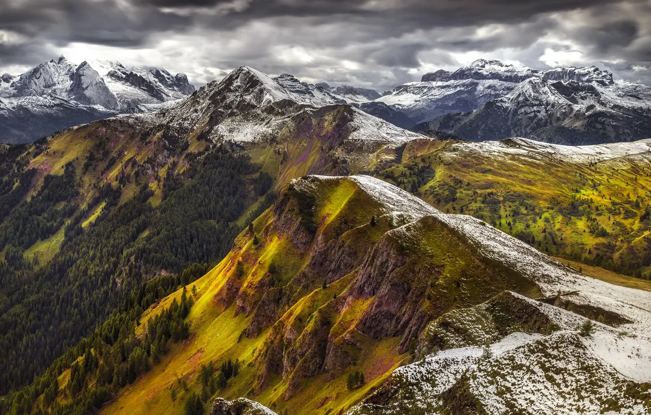 Photo wallpaper forest, the sky, snow, mountains, clouds, Alps