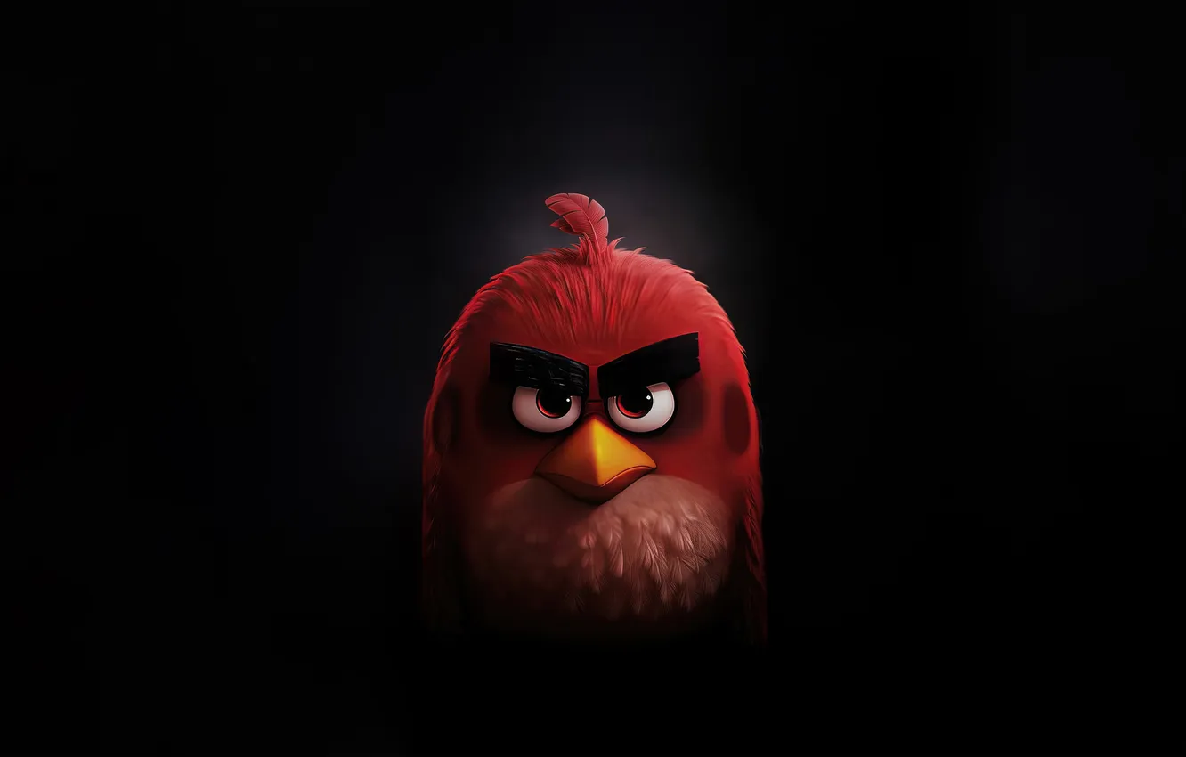 Photo wallpaper dark, birds, angry