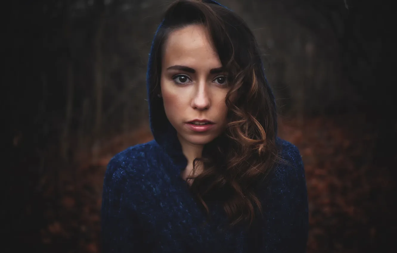 Photo wallpaper look, hood, sponge, Dia