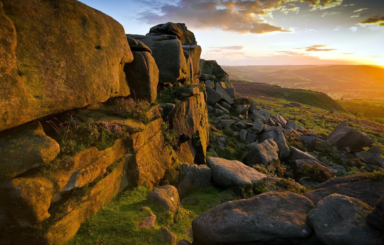 Photo wallpaper light, landscape, sunset, flowers, mountains