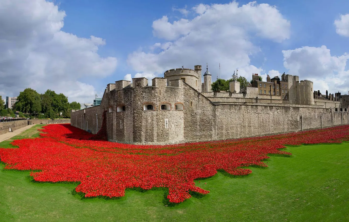 Photo wallpaper England, London, fortress, Tower, art installation, ceramic poppies, The 100th anniversary of the outbreak of …