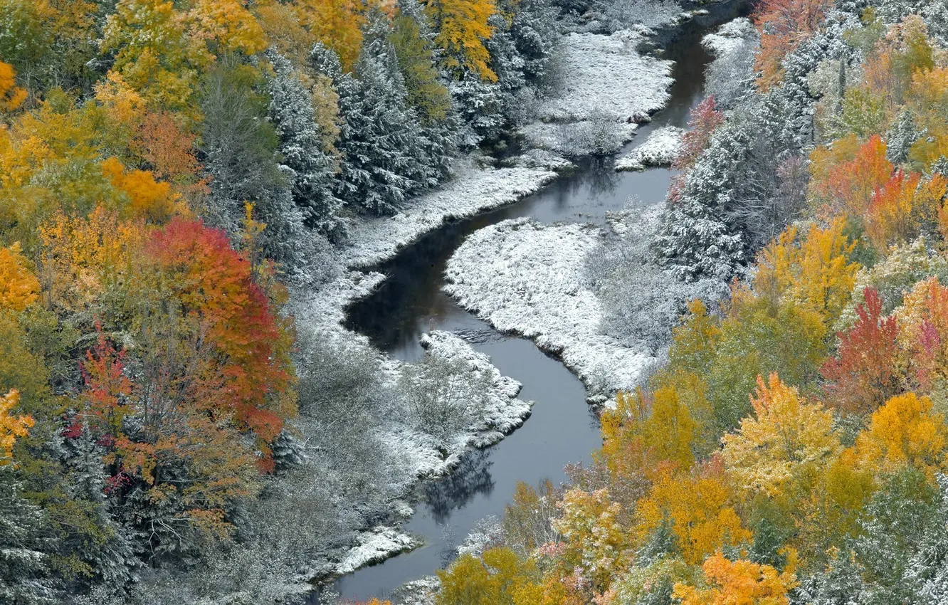 Photo wallpaper winter, autumn, forest, snow, river, Nature