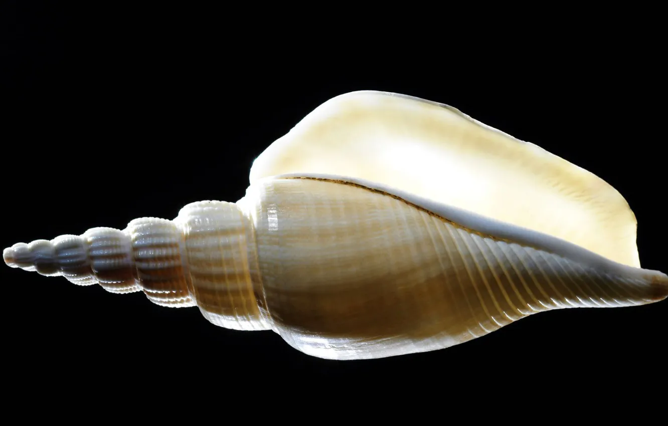 Photo wallpaper background, the ocean, sink, the volume